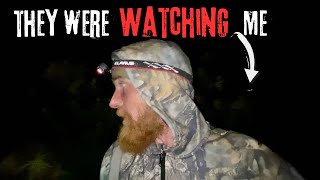 I WAS BEING HUNTED Solo Tarp Camping With 2 Dogs [upl. by Garap]