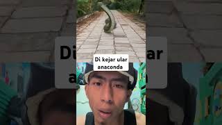 dikejar ular anaconda funny anaconda snake anacondaattack funny annaconda animals [upl. by Devol]