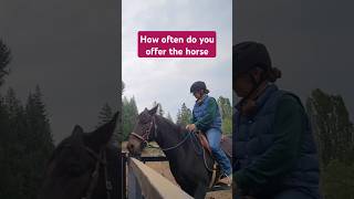 Horse Rider Questions alternativehorsemanship [upl. by Nered]