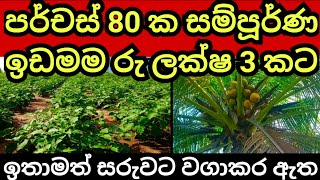 පර්චස් 80 ම ලක්ෂ 3 කට  Agriculture land  Pol idam  Aduwata idam Land for sale in sri lanka Idam [upl. by Bills369]