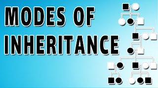 Autosomal Dominant Inheritance in Human Genetics [upl. by Bartie50]