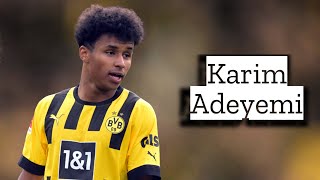 Karim Adeyemi  Skills and Goals  Highlights [upl. by Atiugram950]