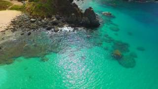 Fernando de Noronha  Praia do Cachorro  Imagens Aéreas DRONE [upl. by Adali]