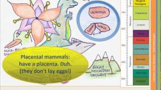 The Geologic Time Scale  Part 3 of 4 [upl. by Gwenn]