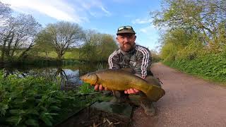 Evening session with Nathan tench fishing on Tiverton canal [upl. by Gilbye]