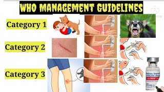 First Aid  Treatment and Symptoms of Dog Bite [upl. by Menashem547]