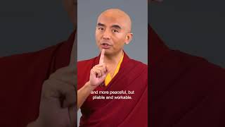 Give the monkey mind a job  Mingyur Rinpoche meditation mentalhealth [upl. by Ahsias]