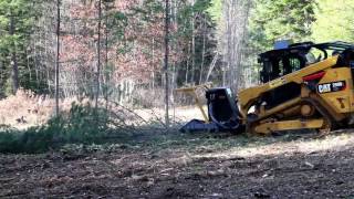 CAT299D2 SS Extreme Disc Mulcher  Advanced Forest Equipment [upl. by Walston]