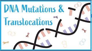 DNA Mutations amp Translocations Beautiful USMLE Lectures [upl. by Esadnac]