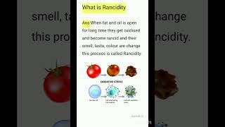 What is Rancidity class 10 chemistry chapter 1 [upl. by Nitsuga261]