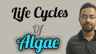 Life Cycles of algae with diagram  diplontic haplontic and haplodiplontic isomorphic lifecycle [upl. by Fawn]