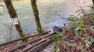 Alsea River boat side  Missouri Bend [upl. by Nnylyam]