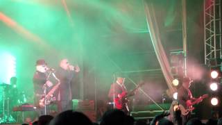 Madness  Lovestruck live at Chelmsford City Racecourse [upl. by Merl21]