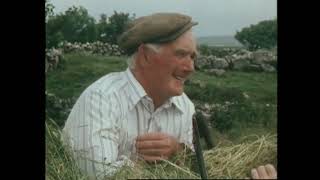 Is Farming in The Gaeltacht Worthwhile Co Galway Ireland 1984 [upl. by Ianahs]