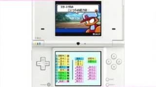 DSi  NEW NINTENDO DS  Trailer November 2008  Japan [upl. by Oicram615]