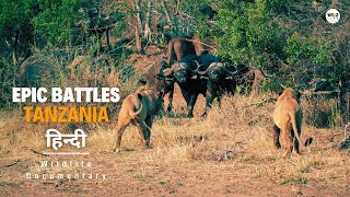 Epic Battles तंजानिया 2023 हिन्दी डॉक्यूमेंट्री  Wildlife documentary in Hindi [upl. by Hesper]