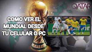 Como ver los partidos de el mundial en vivo desde tu CELULAR o PC [upl. by Droflim]