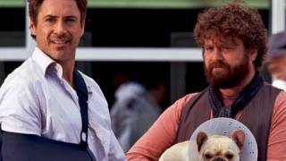 Due Date  Movie Review [upl. by Oinafipe]