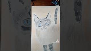 Pyewacket the Cat catartist felineart catdrawing art catillustration catsketch catart [upl. by Cassandre]