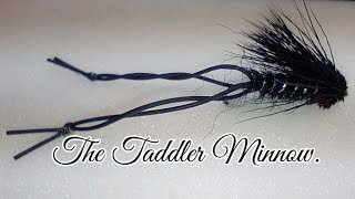 The Taddler Minnow [upl. by Isacco945]