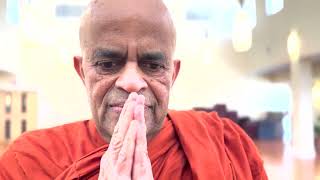 A Birthday Song About The Kindest Buddhist Monk  Kulugammana Dhammawasa Nayaka Thero [upl. by Phalan]