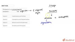 Peripatus is a connecting link between   12  NEET  BIOLOGY  NEET PREVIOUS YEAR YEARWISE [upl. by Shifra]