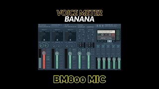 VOICE METER BANANA SETUP WITH BM800 MICROPHONE TAGALOG [upl. by Rabah254]