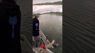 coastal coho slabs  watch the full vid for more catches D [upl. by Ahsirat165]