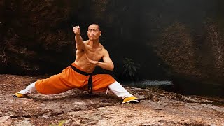 Shaolin Kung Fu amp Tai Chi Class with Shifu Shi Yan Ming [upl. by Quiteria310]