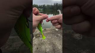 Stylo canne a pêche  fishingvideo fishing pecheur [upl. by Nauqaj]