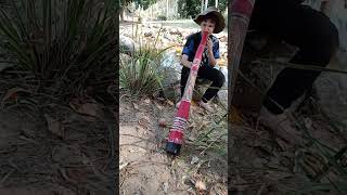 Playing On Self Made Yidaki By The Creek At Robelle Domain Parkland Key Of 432hz G [upl. by Ikir]