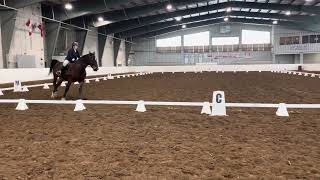 OC DressageTraining Level Test C CC Craig on Big Mac University Of Guelph Ridgetown Campus [upl. by Mall]