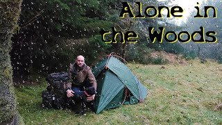 Solo Camping With Wild Animals In The Woods  Vaude Terra Hogan 2p [upl. by Arocal]