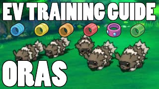 Omega Ruby Alpha Sapphire Horde EV Training Guide EV Training Horde Locations ORAS [upl. by Durware]