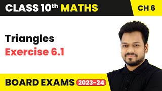 Triangles  Exercise 61  Class 10 Maths Chapter 6  CBSE [upl. by Nahgaem968]