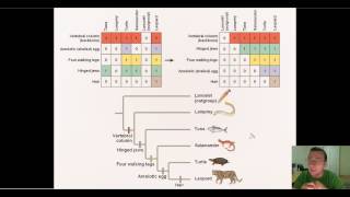 Using Probability amp Parsimony to Construct Phylogenic Trees [upl. by Larena]