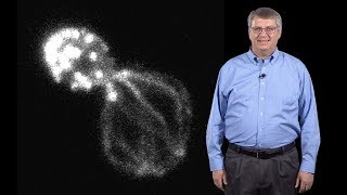 David Drubin UC Berkeley 4 Actin assembly in budding yeast [upl. by Johannah]