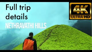 Nethravathi Peak Trekking The Ultimate Guide to Kudremukh Trekking [upl. by Suiradel]