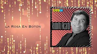 La Rosa En Botón  Los Hispanos  Discos Fuentes Audio Oficial [upl. by Lahsiv]