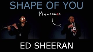 Ed Sheeran  Shape of You WIND INSTRUMENTS Cover [upl. by Bullion]