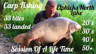 Carp Fishing  Elphicks North Lake  Session of a Life Time [upl. by Lihkin]