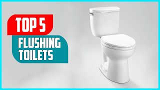 Top 5 Best Flushing Toilets 2023 Review amp Buyers Guide [upl. by Eicarg969]