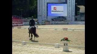 Turnier der Sieger 2013  Westfalenwappen Sieger bei den 3jährigen EQUITARIS [upl. by Marte]