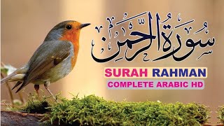 surah Rehman tilawat Quran Pak Episode 193 [upl. by Augy]