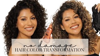 How to Color Curly Hair with ZERO Damage  Clairol Professional Beautiful Collection [upl. by Ailhat136]