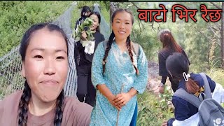 sathiko ghar jane bato virai vir raixw😊video antim samm hernu hola🙏Laxmira villagevlog [upl. by Diver323]