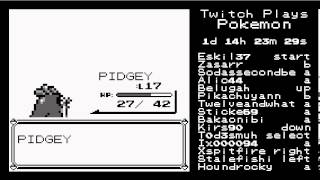 Pidgey evolves into Pidgeotto  TwitchPlaysPokemon Highlights Red [upl. by Ennej]