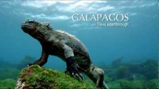 Galapagos Trailer 2 Adaptation [upl. by Liatnahs]