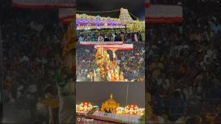 Garuda Seva at Tirumala🛕garudasana tirumala tirupati venkateswara temple telugu devotional [upl. by Nonnerb]