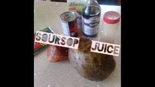 How to make Soursop Juice [upl. by Enrev]